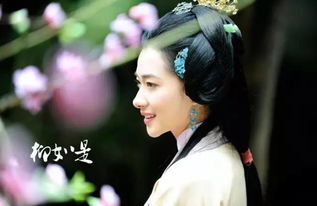 情与貌,略相似是什么意思