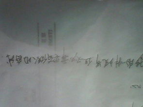 底线议论文800字作文，坚守道德底线议论文