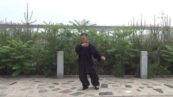 薯片，shu拼音