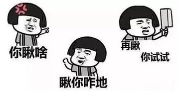 二话不说造句，二话不说成语接龙