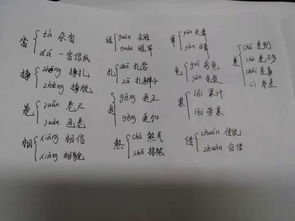 擂多音字组词语有哪些，擂多音字组词组词