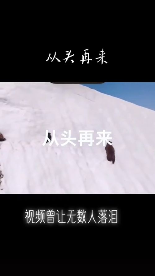 重头再来和从头再来有什么区别，重头再来的诗句