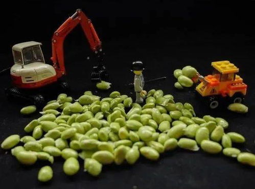 剥豆子阅读理解答案，剥豆子作文