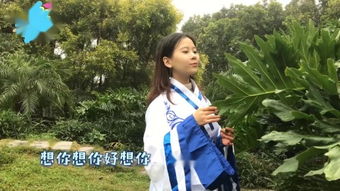宛如一梦简谱，宛如一梦作品分析