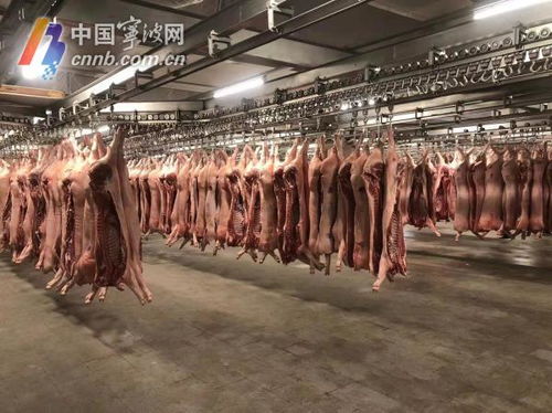 屠宰场设备要多少钱，屠宰场杀猪全自动流水线