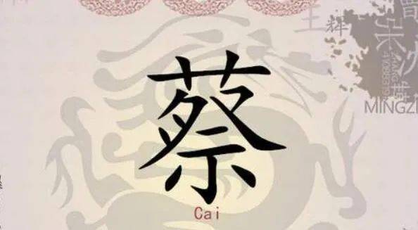 蔡姓取名字大全男孩名字，蔡姓男孩取名100分