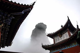 寻常看不见偶尔露峥嵘打一字