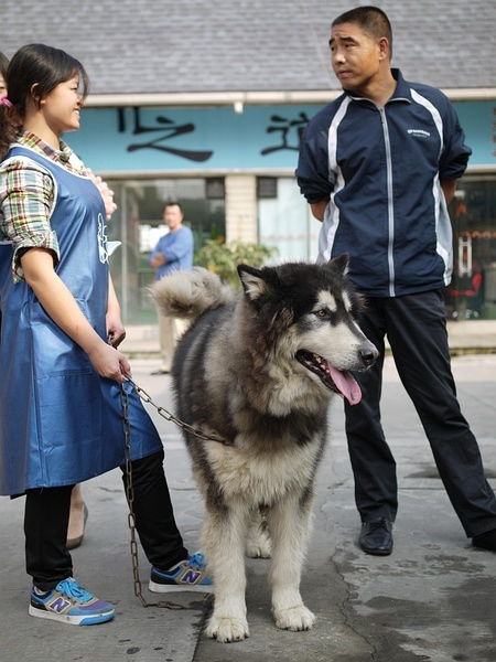 偶尔露峥嵘是哪首，平时看不见,偶尔露峥嵘