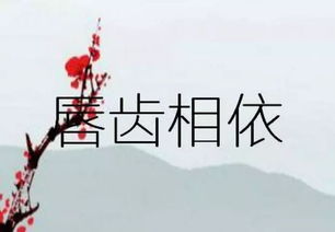 唇亡齿寒是什么意思，唇齿相依出处