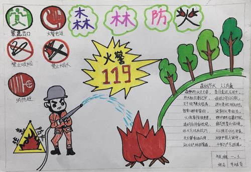 森林防火手抄报图片简单又漂亮2023，森林防火手抄报图片内容