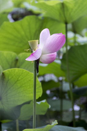 零花钱怎么赚，零花钱小游戏全额提现
