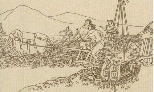 屯田的拼音，屯田令
