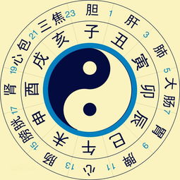 时辰拼音对照表 生辰八字，生肖时辰读音