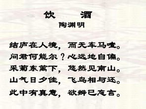 垂緌饮清露全诗读音，zhicizashi己亥杂诗读音