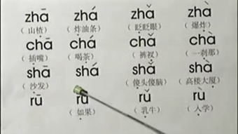 提手旁一个式读什么