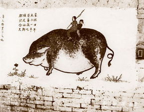 社会主义建设时期的经验和教训有哪些?