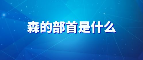 叔的部首和组词，森的部首和组词
