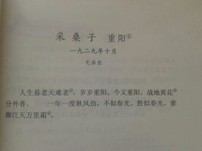 古诗的诗拼音