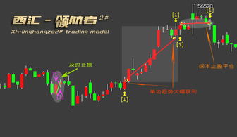 第二信号系统指什么，第二信号系统名解
