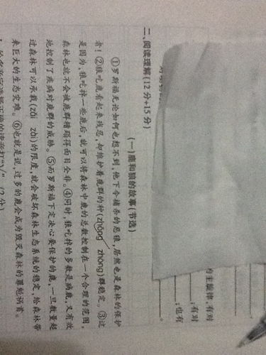 “鹳”字怎么读?