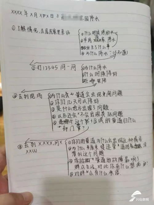 记一次采访作文600字