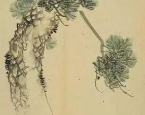 漙河功效与作用，漙兮