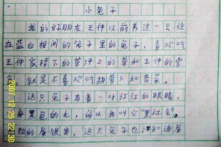可爱的熊猫四年级作文