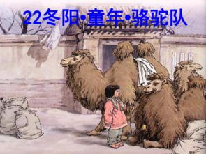 冬阳童年骆驼队题目解读，冬阳童年骆驼队阅读