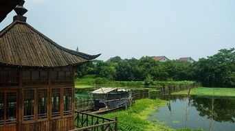 下渚湖古诗表达了什么