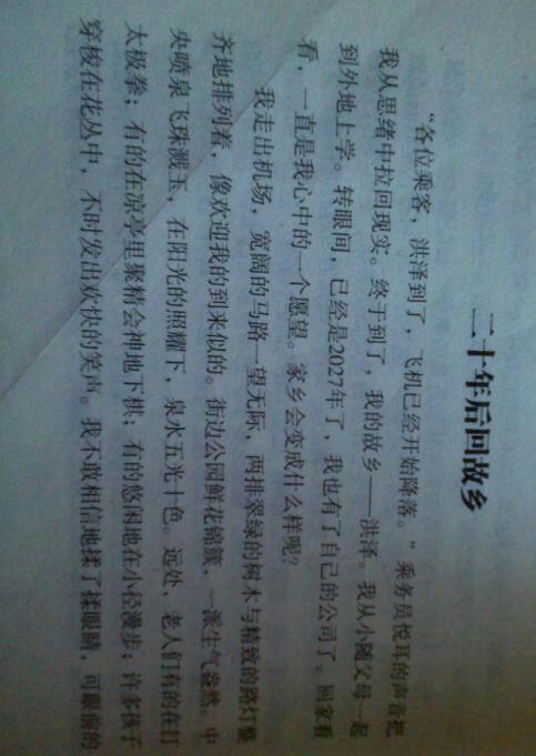 二十年后回故乡的作文四百字以上。必须自己写。