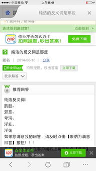 纯净的反义词朴素的反义词严肃的反义词疏淡的反义词