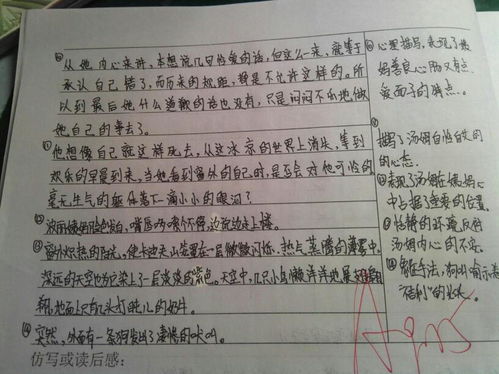 读后感的作文400字