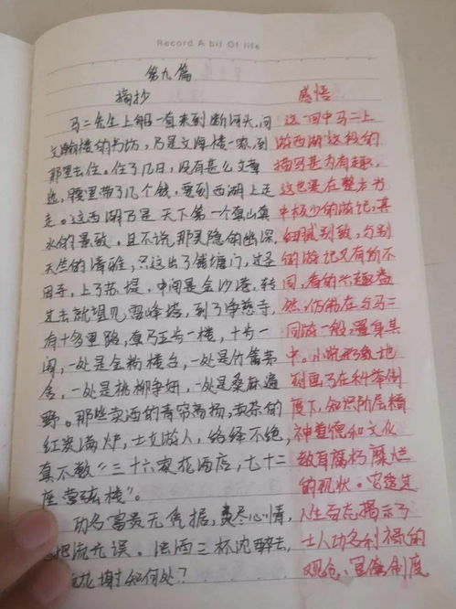 一本好书作文