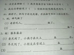 我的组词和笔顺，我的组词有哪些