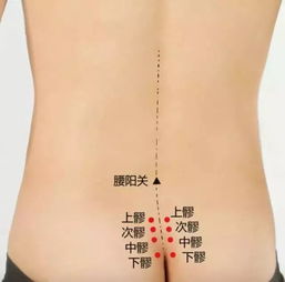八髎穴在哪里