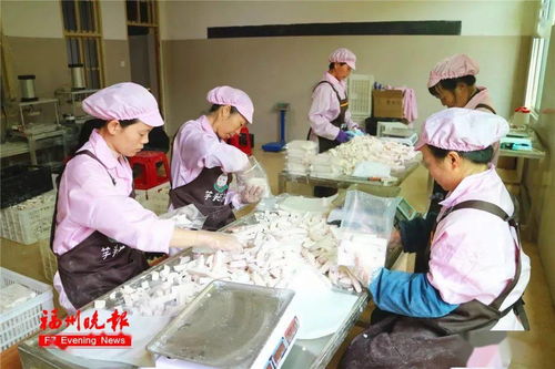 力排众议的议是什么意思解释，鲁子敬力排众议