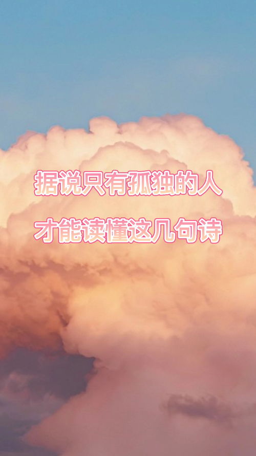 可惜的意思