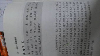 住组词有哪些词语