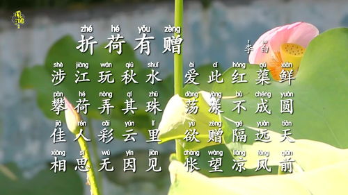 有赠表达了什么情感，有赠原文朗诵