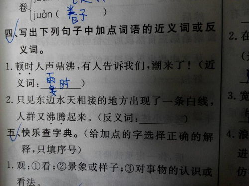 沸腾反义词义词，沸腾反义词是什么?
