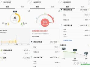 屮字的意思是什么?