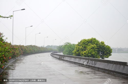河堤是什么意思