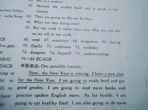 安徽省人教版七年级上册数学基础训练答案，初中语文基础训练答案