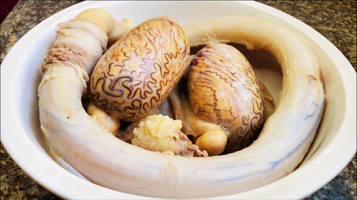 家常炖牛鞭的做法大全