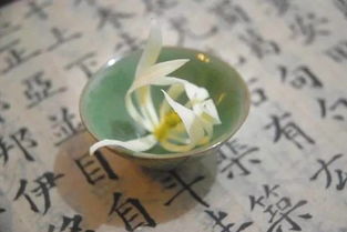 心量大福报就大，心量广大