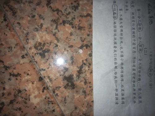 关于雄浑的拼音和意思-雄浑造句-雄浑近义词反义词