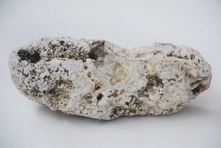 龙涎香的功效与作用价格，智月龙涎香的功效与作用