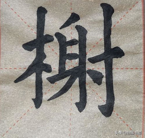 羊字旁的字有哪些?