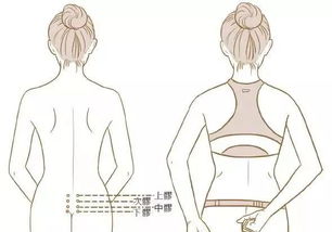 八髎准确位置图，八髎位置疼什么原因
