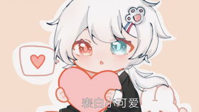 伙伴的意思